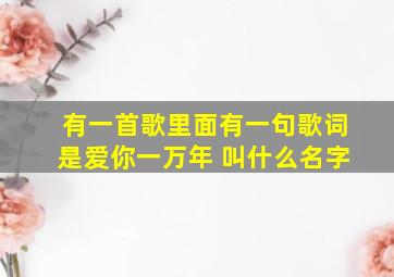 有一首歌里面有一句歌词是爱你一万年 叫什么名字